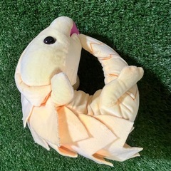 大きめのアルマジロトカゲのぬいぐるぬいぐるみの画像