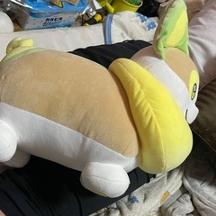ポケモンぬいぐるみワンパチの画像