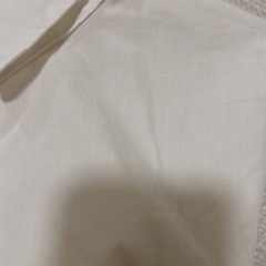 レディース半袖Mサイズの画像