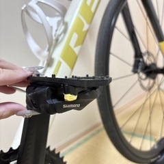 TREK Domane AL4 Gen4 56サイズの画像