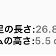 地雷 厚底 26.5 パンクロック 大きいサイズの画像