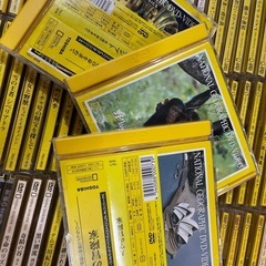 ナショナルジオグラフィック DVD セット　2種類　全巻　未開封アリの画像