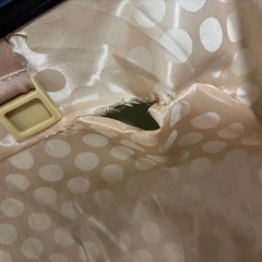 キャリーバッグの画像