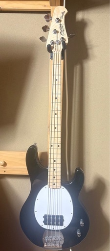 弦楽器、ギター Sterling by Musicman Ray2