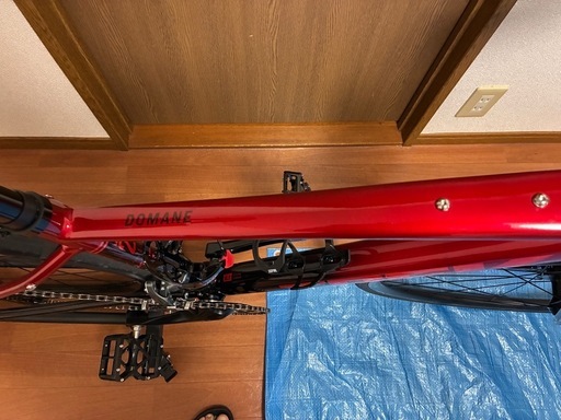 TREK DOMANE AL2 GEN4