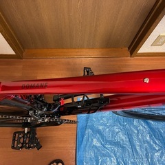 TREK DOMANE AL2 GEN4の画像