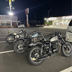 250trトラッカー の画像
