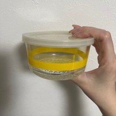【おまけ】電子レンジOK   耐熱皿 の画像