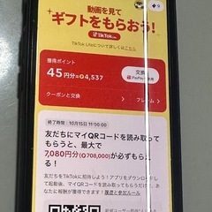 TikTokライト付iPhone12mini 128GB
の画像
