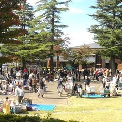 11月14日金曜日　島内公園フリーマーケット