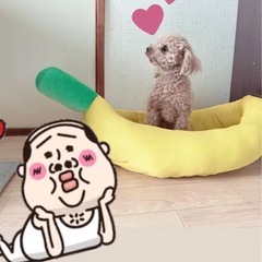 大切にしてくれる方で
