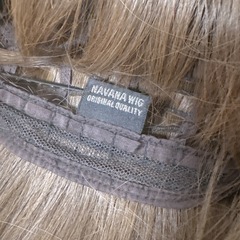 お話中)④NAVANA WIGの画像