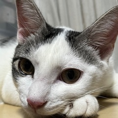 助けて（情報が欲しい）