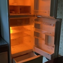 無料　冷蔵庫の画像