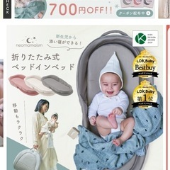 ネオママイズム　ベッドインベッド　スペアパッド付きの画像
