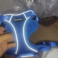 ペット用服の画像