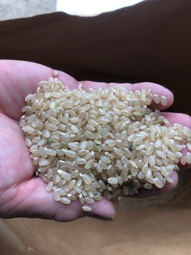 R7 新米 玄米30kg なつほのか　