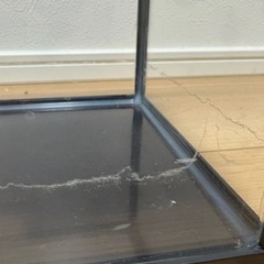 水槽、爬虫類ゲージ
の画像
