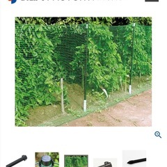 【未使用品】ダイム 防獣杭　太20mm  長120cm  50本セット（5本×10組）の画像