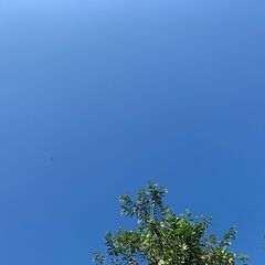 全国エリア系ライン雑談オプチャ　福井県メンバー募集中