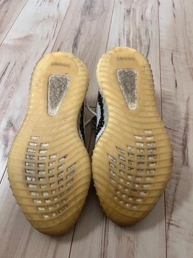 adidas Yeezy Boost 350 v2 14169721_20127255_600.jpg