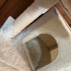 キャットタワーの画像