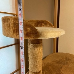 キャットタワーの画像