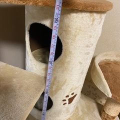 キャットタワーの画像