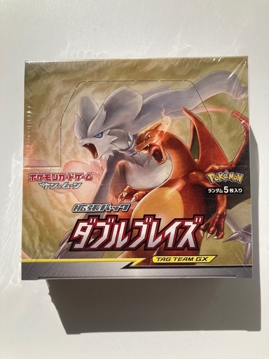 ダブルブレイズ　ポケモン