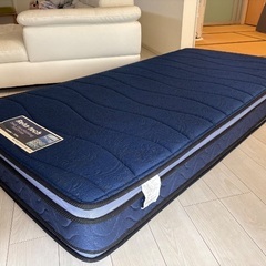 フランスベッド Reba tech シングルベッドの画像