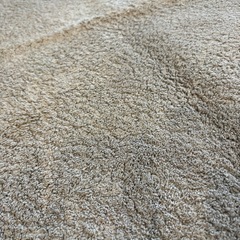 IKEA ラグの画像