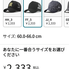 ビックサイズ帽子一品の画像