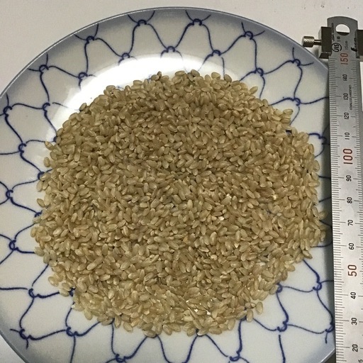 6年産　ミルキークイン　玄米　15kg　