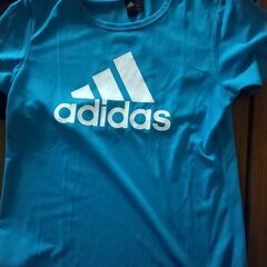 Tシャツ L サイズ3枚の画像