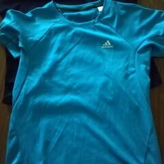 Tシャツ L サイズ3枚の画像