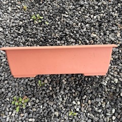 プランター②の画像