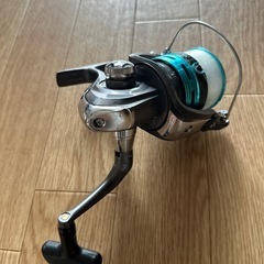 ダイワリールの画像
