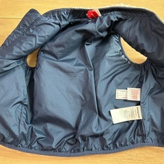 Patagonia ベスト 3Tの画像