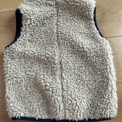 Patagonia ベスト 3Tの画像