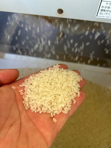 岩手県南ひとめばれ玄米30kg