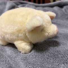 ぬいぐるみ　12の画像