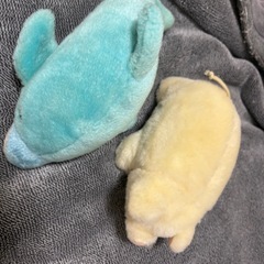 ぬいぐるみ　12の画像