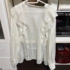 大きいサイズ可愛らしいブラウスの画像