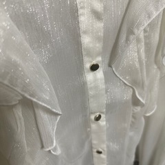 大きいサイズ可愛らしいブラウスの画像