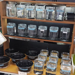 【メダカ】めだか色々！無人販売🐟️ミジンコ、ゾウリムシも！の画像