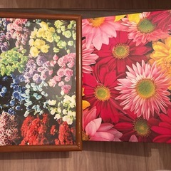 蜷川実花　フォトフレームの画像