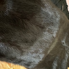 毛皮 ショールROTINyYの画像