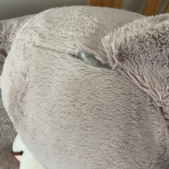 クマ　ぬいぐるみの画像