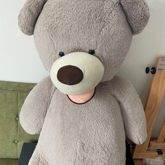 クマ　ぬいぐるみの画像