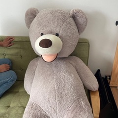 クマ　ぬいぐるみの画像
